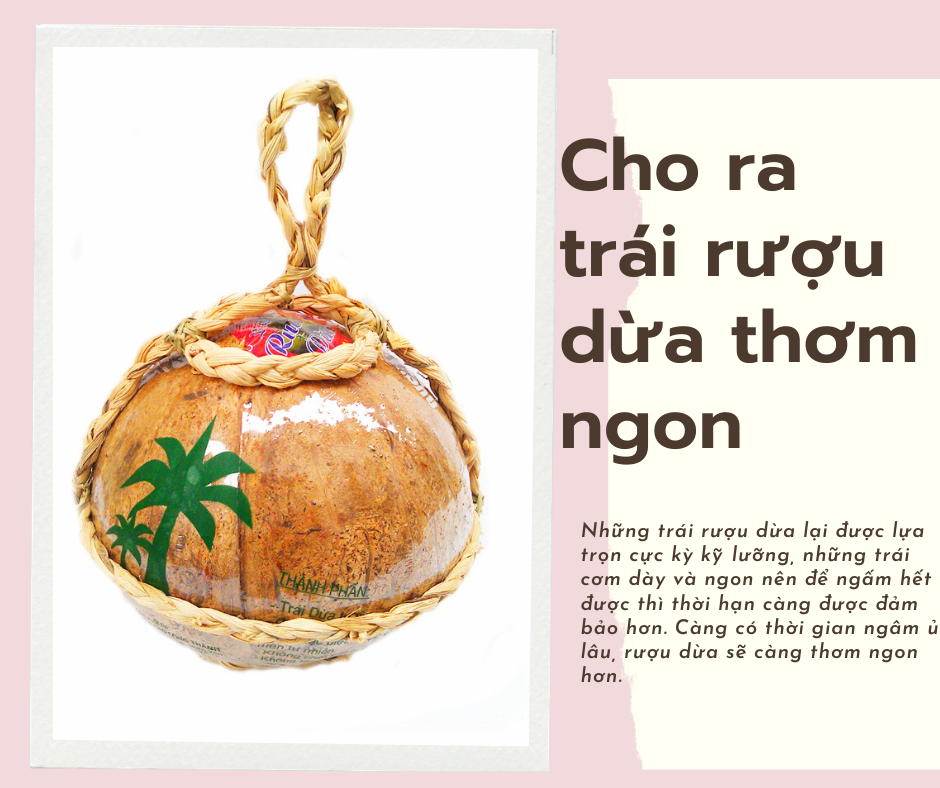 Rượu dừa Bến Tre Đào Công Thành nổi tiếng Hưng Yên