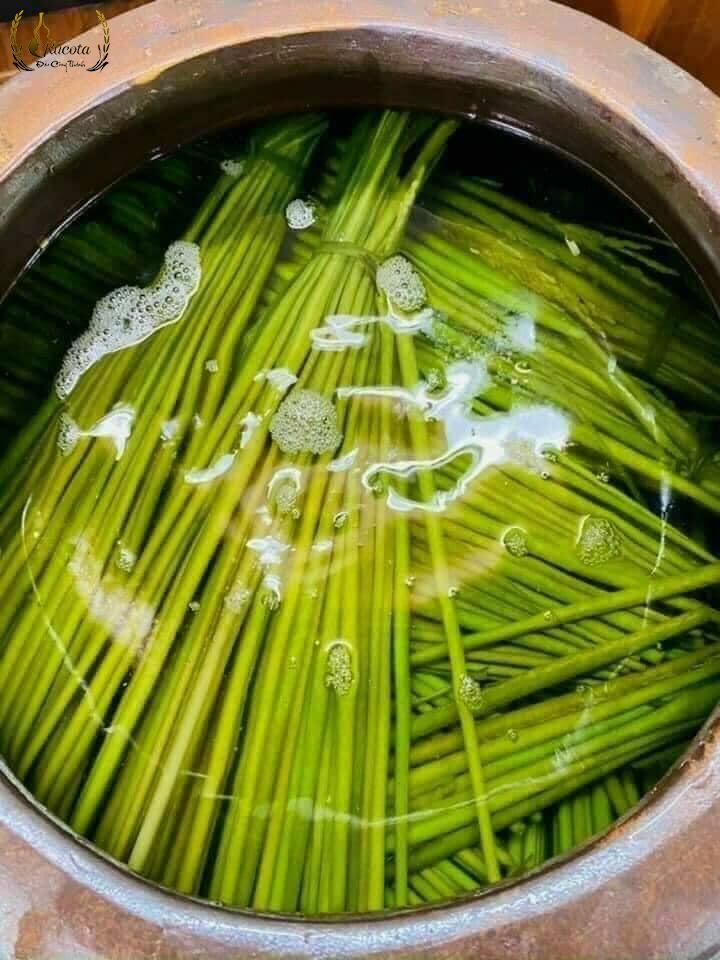 ảnh rượu đòng đòng